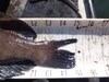 Dsc04809  2000x1500  thumb