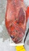20150801 173252 thumb