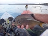 Dsc05084  2000x1500  thumb