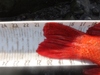 Dsc05455  2000x1500  thumb