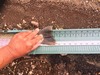 Almanorrbt 6lb  2  thumb