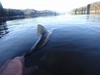 Dsc06109  2000x1500  thumb