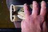 Btaoty25.75head thumb