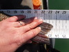 Dscf1095 thumb