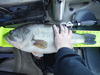 Lmb0207pic thumb