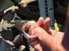 Sb bks  2  thumb