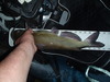 Rollins 4 5 16 013 thumb