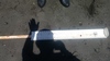 Ling board proof thumb