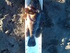 Img 20170128 165412 thumb