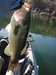 Bass2 thumb
