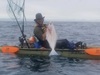 Halibut thumb