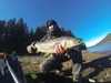 Browntrout2aoty thumb
