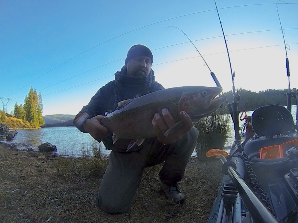 Rainbowtrout2aoty