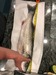 Fish2 thumb
