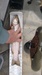 Img 20180424 124001706 thumb