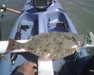 Img00226 thumb