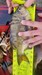 20190211 151420 907x1612 thumb