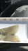 914c366b 7781 4390 ab56 272838b49878 thumb