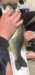 2795b22c b417 42fa 9c4f c73c2edb6d32 thumb