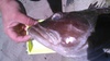Kimg0726 thumb