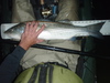 Moonlightstriper1 thumb