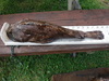 Dscf1015 thumb