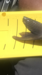 E9ebbb50 b41d 47fc a47b d3cdcc6f530b thumb