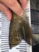 6bdcbd49 2d9f 4cb6 8bbb 6c85d913d68e thumb