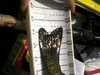 Pointsispoints thumb