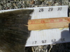 Bay 6 5 09 013.jpgreduced thumb
