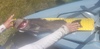 20210403 145251 thumb