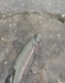 F5c9e0d2 65ce 483a 935a 44c57efbb7a5 thumb