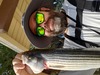 20220218 151954 thumb