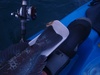 Lingtail thumb