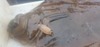 20230429 074324 thumb