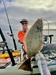 Halibut 2024 b thumb