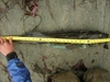 Jfaotylingtape thumb