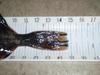 Flounder2 thumb