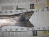 Striper3 thumb