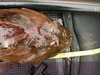 Aotycabbyhead thumb
