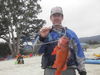 Rockfish pif thumb