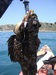 Cab3 thumb