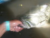 280 thumb