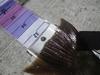 Sc butt hunt 5 28 12 016 thumb
