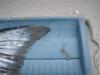 Mbk ai isl salmon 7 18 12 049 thumb