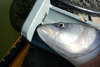 Port6 021513 thumb