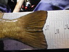 Dscf4378 thumb