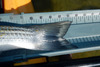 24.5 port stripe3 thumb