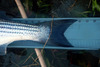 Port stripe2 032713 thumb