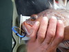 Dscf4563 thumb